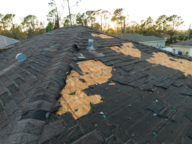 Best Steel Roofing  in Columbus, NE