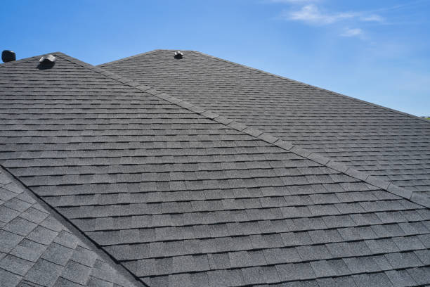 Best Roof Leak Repair  in Columbus, NE