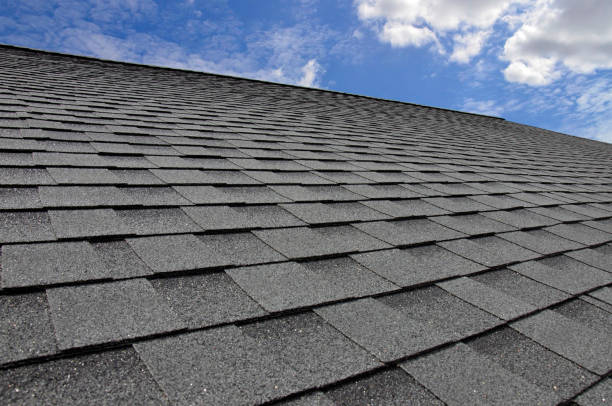 Best Roof Ventilation Installation  in Columbus, NE